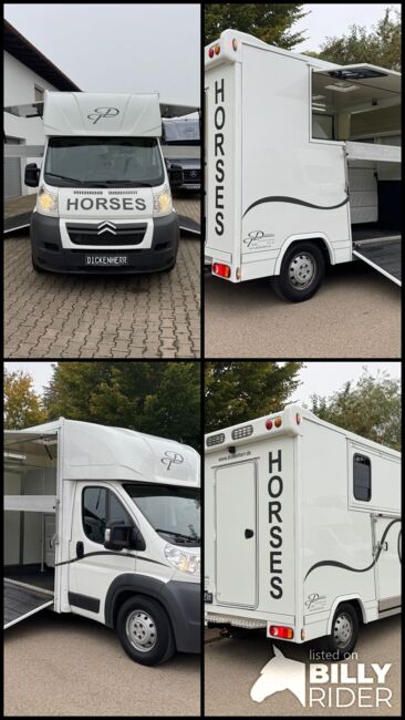 Pferdetransporter 2 Seitenrampen Nur 20500KM Viehtransporter Tiertransporter, Dickenherr Dickenherr 2 Ride , Gerhard Strobel (Dickenherr Trucks und Trailers), Horse Trailers, Baden-Württemberg - Unterschneidheim, Image 21