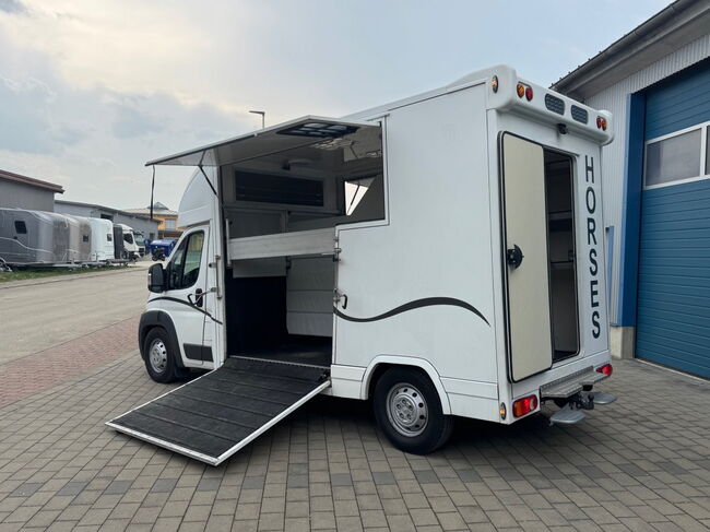 Pferdetransporter Citroen  2 Seitenrampen 180 PS Viehtransporter, Citroen Jumper Dickenherr 2 Ride , Gerhard Strobel (Dickenherr Trucks und Trailers), Horse Trailers, Baden-Württemberg - Unterschneidheim, Image 11