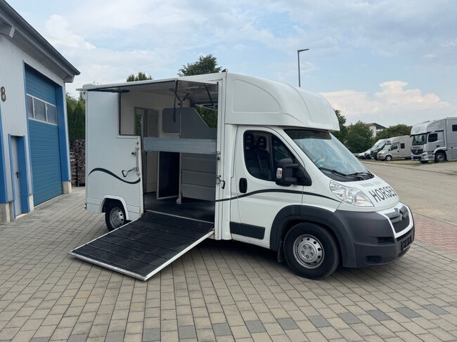 Pferdetransporter Citroen  2 Seitenrampen 180 PS Viehtransporter, Citroen Jumper Dickenherr 2 Ride , Gerhard Strobel (Dickenherr Trucks und Trailers), Horse Trailers, Baden-Württemberg - Unterschneidheim, Image 13