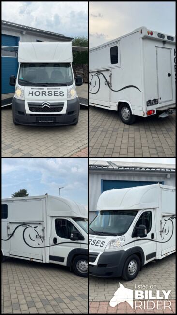 Pferdetransporter Citroen  2 Seitenrampen 180 PS Viehtransporter, Citroen Jumper Dickenherr 2 Ride , Gerhard Strobel (Dickenherr Trucks und Trailers), Horse Trailers, Baden-Württemberg - Unterschneidheim, Image 21