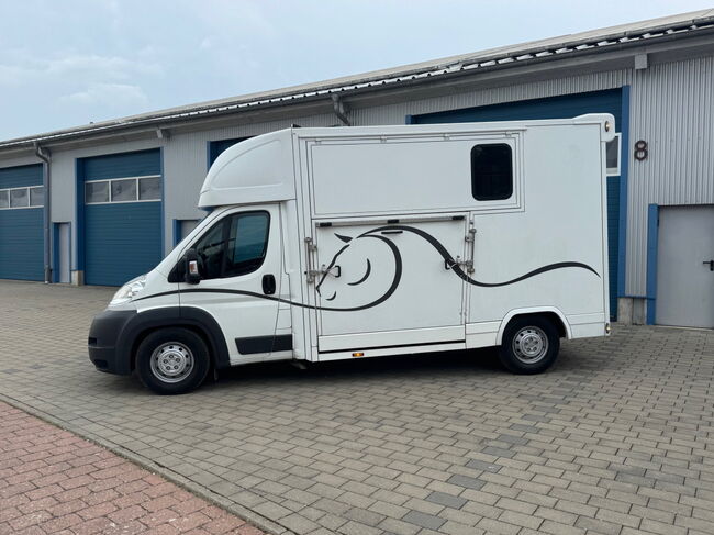 Pferdetransporter Citroen  2 Seitenrampen 180 PS Viehtransporter, Citroen Jumper Dickenherr 2 Ride , Gerhard Strobel (Dickenherr Trucks und Trailers), Horse Trailers, Baden-Württemberg - Unterschneidheim, Image 15
