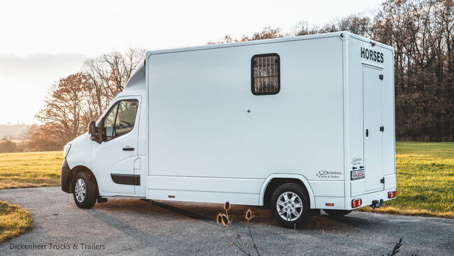 Pferdetransporter-DT 2-Ride Renault Master light 3,5t Neufahrzeug, Dickenherr 2 Ride light Dickenherr 2 Ride light, Gerhard Strobel (Dickenherr Trucks und Trailers), Horse Trailers, Baden-Württemberg - Unterschneidheim, Image 3