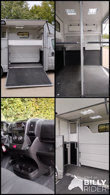 Pferdetransporter DT Citroen Jumper Hengstausstattung 165PS Klima Viehtransporter, Dickenherr Dickenherr 2 Ride , Gerhard Strobel (Dickenherr Trucks und Trailers), Horse Trailers, Baden-Württemberg - Unterschneidheim, Image 21