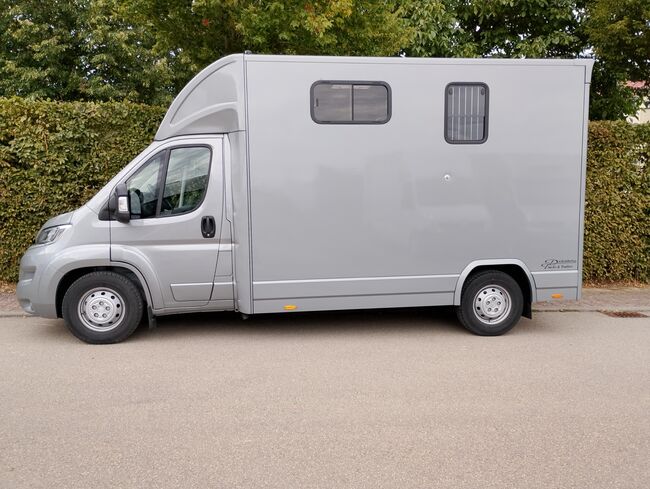 Pferdetransporter DT Citroen Jumper Hengstausstattung 165PS Klima Viehtransporter, Dickenherr Dickenherr 2 Ride , Gerhard Strobel (Dickenherr Trucks und Trailers), Horse Trailers, Baden-Württemberg - Unterschneidheim, Image 2