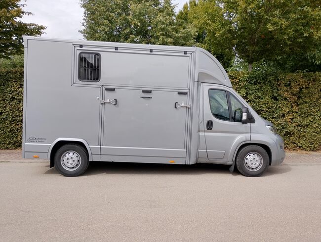 Pferdetransporter DT Citroen Jumper Hengstausstattung 165PS Klima Viehtransporter, Dickenherr Dickenherr 2 Ride , Gerhard Strobel (Dickenherr Trucks und Trailers), Horse Trailers, Baden-Württemberg - Unterschneidheim, Image 5