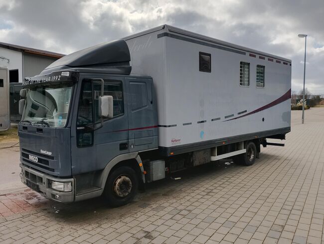 Pferdetransporter Ketterer Iveco 80ET 210PS Wohnabteil Viehtransporter, Ketterer Iveco Ketterer, Gerhard Strobel (Dickenherr Trucks und Trailers), Horse Trailers, Baden-Württemberg - Unterschneidheim, Image 9