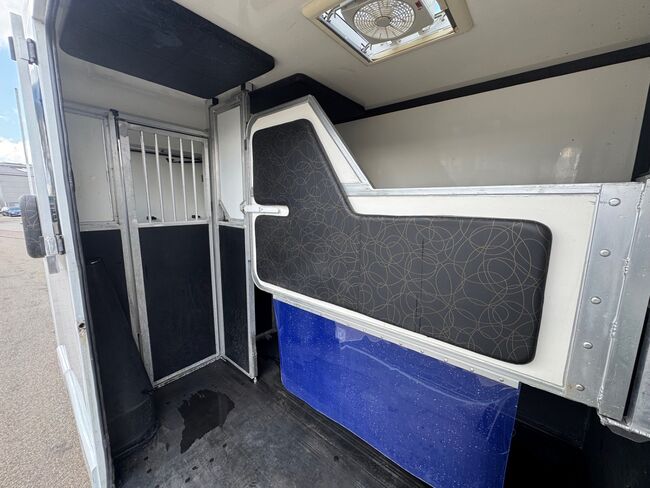 Pferdetransporter Renault 3,5t Hengstausstattung Viehtransporter, Renault Master Renault Master Hengst, Gerhard Strobel (Dickenherr Trucks und Trailers), Horse Trailers, Baden-Württemberg - Unterschneidheim, Image 9