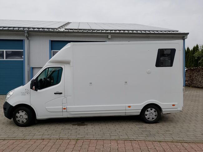 Pferdetransporter Renault 3,5t Hengstausstattung Viehtransporter, Renault Master Renault Master Hengst, Gerhard Strobel (Dickenherr Trucks und Trailers), Horse Trailers, Baden-Württemberg - Unterschneidheim, Image 18