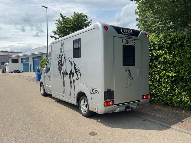 Pferdetransporter STX Automatik Tiertransporter Viehtransporter, STX STX, Gerhard Strobel (Dickenherr Trucks und Trailers), Horse Trailers, Baden-Württemberg - Unterschneidheim, Image 19