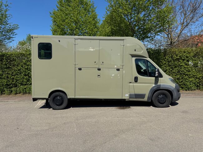 Pferdetransporter Theault Hengstausstattung Automatik 177PS, Fiat Theault Fiat Ducato Hengst, Gerhard Strobel (Dickenherr Trucks und Trailers), Horse Trailers, Baden-Württemberg - Unterschneidheim, Image 6