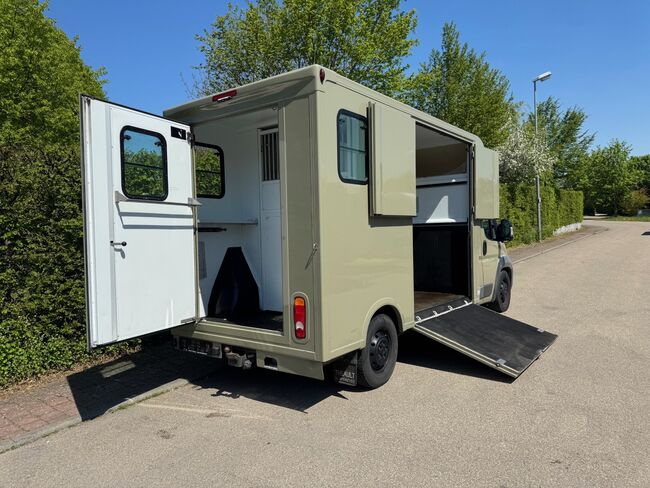 Pferdetransporter Theault Hengstausstattung Automatik 177PS, Fiat Theault Fiat Ducato Hengst, Gerhard Strobel (Dickenherr Trucks und Trailers), Horse Trailers, Baden-Württemberg - Unterschneidheim, Image 11