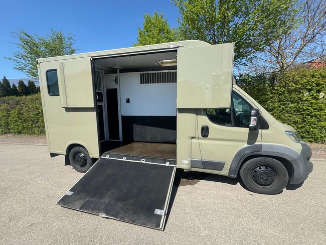 Pferdetransporter Theault Hengstausstattung Automatik 177PS, Fiat Theault Fiat Ducato Hengst, Gerhard Strobel (Dickenherr Trucks und Trailers), Horse Trailers, Baden-Württemberg - Unterschneidheim, Image 12