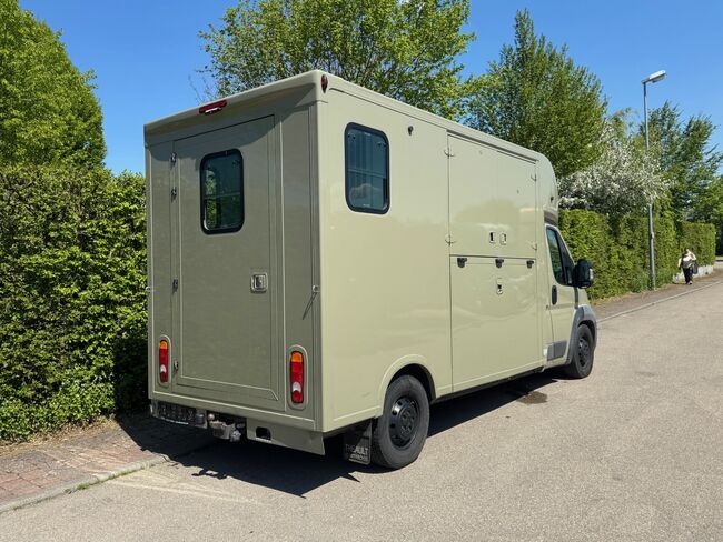 Pferdetransporter Theault Hengstausstattung Automatik 177PS, Fiat Theault Fiat Ducato Hengst, Gerhard Strobel (Dickenherr Trucks und Trailers), Horse Trailers, Baden-Württemberg - Unterschneidheim, Image 13