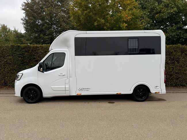 Pferdetransporter Viehtransporter Tiertransporter Hengst Automatik 180PS Renault Selbstfahrer 3.5t, Renault Master Sodiak, Gerhard Strobel (Dickenherr Trucks und Trailers), Horse Trailers, Baden-Württemberg - Unterschneidheim, Image 6