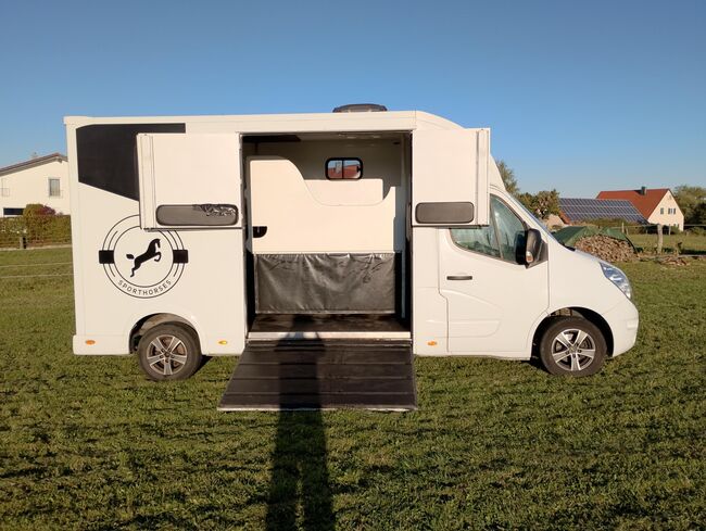 Pferdetransporter Tiertransporter Viehtransporter Nuyts Renault Master 80.000KM Klima, Renault Master Nuyts, Gerhard Strobel (Dickenherr Trucks und Trailers), Horse Trailers, Baden-Württemberg - Unterschneidheim, Image 3