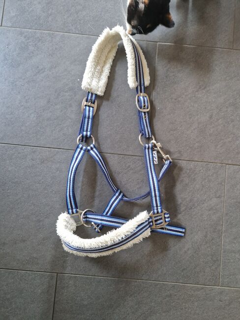 Horse guard Halfter warmblut wb Fell blau, Horse guard, K. Werner, Halters, Westerwalsede