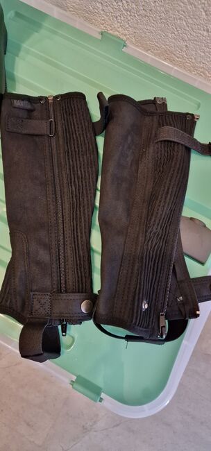 Reitcheps, Saskia Wenge, Half Chaps, Lünen