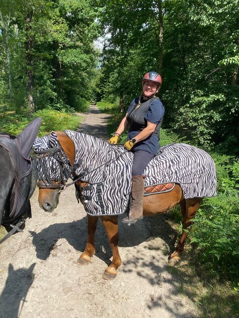 Reitbeteiligung, Sharleena Smith , Horse Sharing, Oberkrämer, Image 3