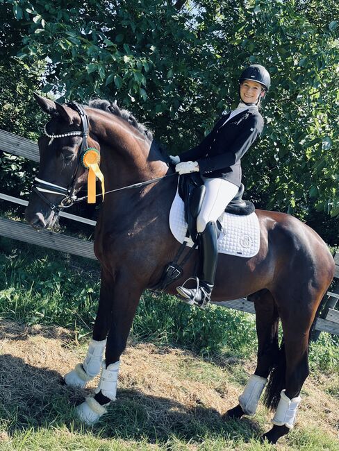 Beritt, Unterricht, Pferdevermarktung, junge Pferde, Lea Hecker , Riding Lessons, Neus, Image 4