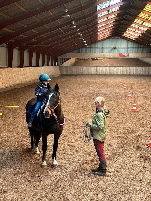 Reiten - aber mal anders, Luckyhorseacademy, Riding Lessons, Aabenraa