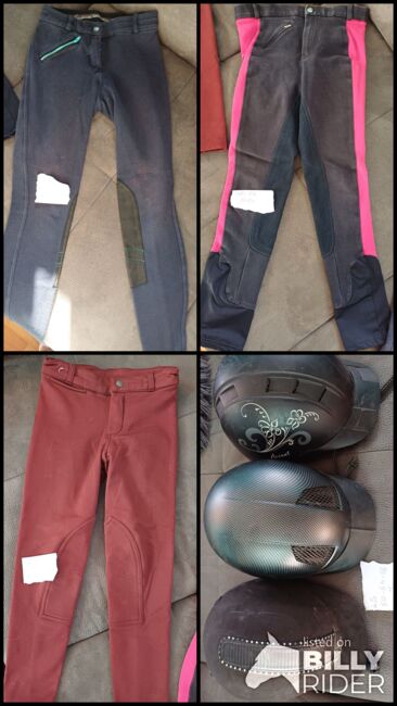 Reitsachen, Keine Ahnung  Keine Ahnung , daniela, Children's Breeches & Jodhpurs, Kleinwilfersdorf, Image 16