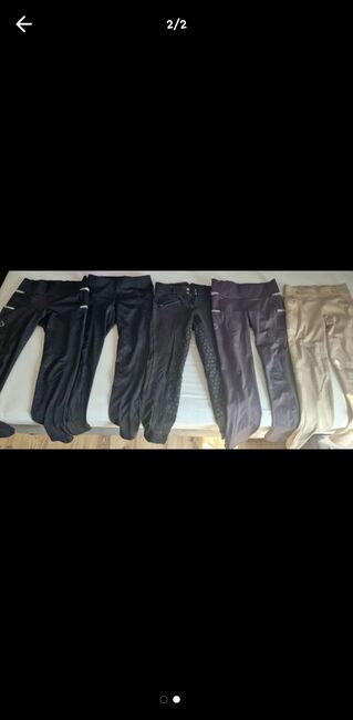 Reitleggins sommer u winter, Marion, Breeches & Jodhpurs, Arnoldstein 