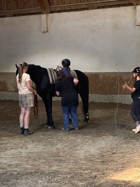 Reitunterricht für Kinder und Erwachsene, Adriane Schmedemann Reitschule, Riding Lessons, Schonstett , Image 7