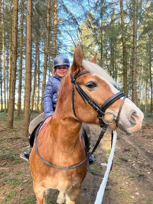 Reitstunden für Kinder, Steffi Tonhauser, Riding Lessons, Weichs