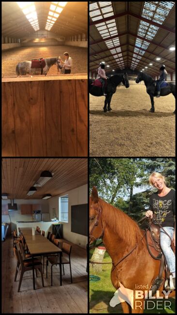 Reiterferien exclusiv maximal 4 Kinder/Personen, Luckyhorseacademy, Riding Holidays, Aabenraa, Image 21