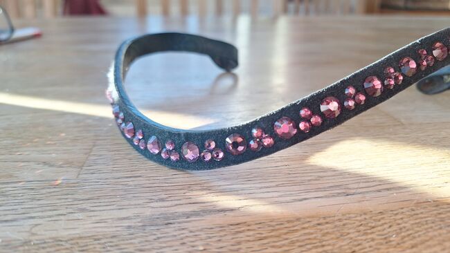 Stirnriemen Lila, Tero Brandt, Browbands, Ratekau, Image 2