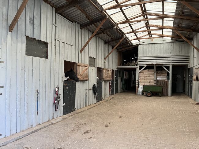Paddock-Boxen in ruhiger Pferdepension, Dunja Krauß, Horse Stables, Althengstett