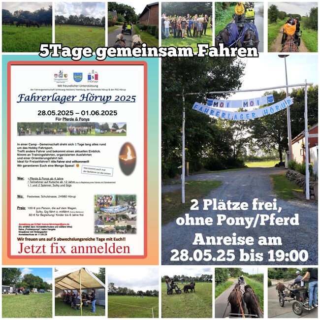 Fahrerlager Hörup, Fahrercamp 5 Tage Fahren und viel Spass, Fahrpony, Pferd, Pony, Shettykutschw, Sandfuchs, Courses & Seminars, Hörup