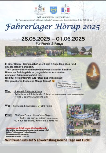 Fahrerlager Hörup, Fahrercamp 5 Tage Fahren und viel Spass, Fahrpony, Pferd, Pony, Shettykutschw, Sandfuchs, Courses & Seminars, Hörup, Image 2