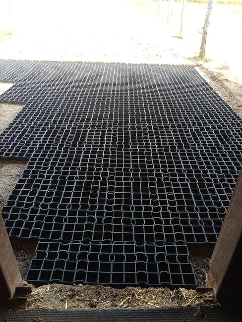 Paddock Matten Gitter, Agrarzone Paddock Gitter Matten , Nicole, Horse & Stable Mats, Sankt Georgen am Leithagebirge