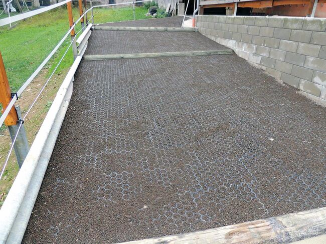 Paddockplatten, Frny, Horse & Stable Mats, Hartenrod