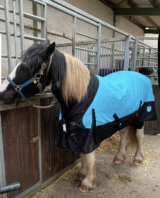 Paddock Decke 135, Sandra, Horse Blankets, Sheets & Coolers, Weitersborn 