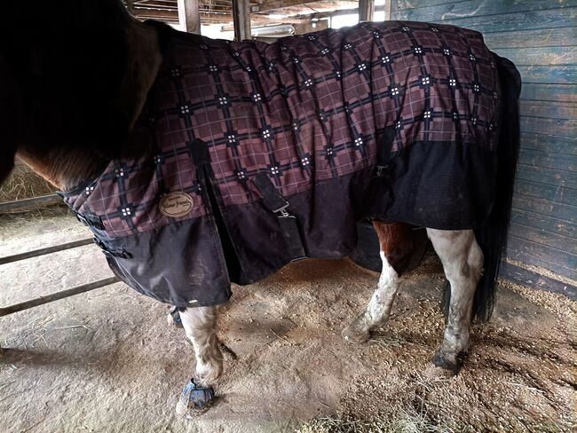 Paddock Outdoor Decke 300g, Horse Friends  Paddock decke , Michelle , Horse Blankets, Sheets & Coolers, Heide 