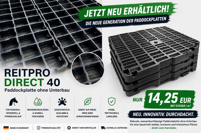 Paddockplatten ohne Unterbau kaufen - Rasengitter für Paddock, Pferdeauslauf & Stall, MEGASPAR - Online Shop Rasengitter | Paddockplatten | Kunststoffmatten & Parkplatzgitter , MEGASPAR Online-Shop (Walas Krystian BAU-CONSULTING), Horse & Stable Mats, Berlin
