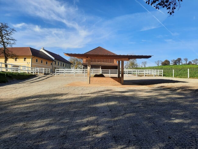 Paddockplatten Paddockraster Bodenraster - Clevergrid40 12€/m² 500x500x40 mm, WKH GmbH  0140 Clevergrid40, Andree Nyhuis (WKH GmbH), Horse & Stable Mats, Emlichheim