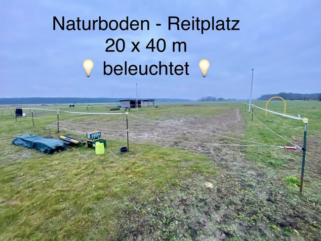 Paddocktrail Offenstall 10.000m2, Jeffrey, Horse Stables, Schöneiche bei Berlin, Image 7