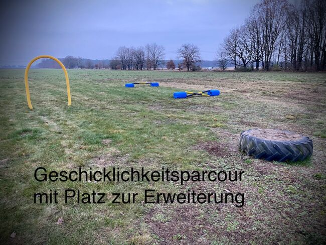 Paddocktrail Offenstall 10.000m2, Jeffrey, Horse Stables, Schöneiche bei Berlin, Image 6