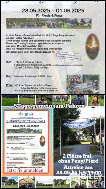 Fahrerlager Hörup, Fahrercamp 5 Tage Fahren und viel Spass, Fahrpony, Pferd, Pony, Shettykutschw, Sandfuchs, Kursy i seminaria, Hörup, Image 3