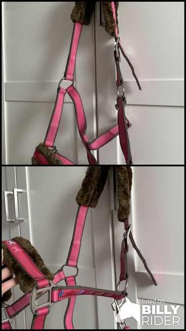 Fellunterlegtes Halfter pink, Milena , Halters, Buggingen , Image 3