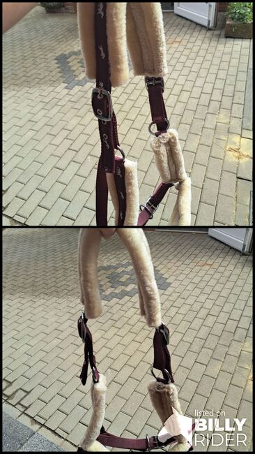 Fell Halfter, Michelle wilms , Halters, Eppstein , Image 3