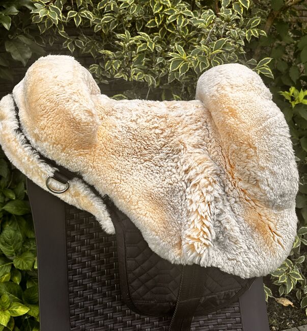 Fellsattel inklusive Zubehör von Engel, Engel Fellsattel, Viviane, Lambskin Pad, Tarp, Image 7