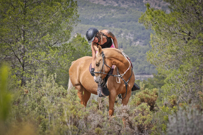 Palomino Quarab Stute in Palominofarbe, Yeguada Trébol, Konie na sprzedaż, Alcoy, Image 12