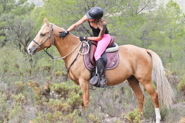 Palomino Quarab Stute in Palominofarbe, Yeguada Trébol, Konie na sprzedaż, Alcoy, Image 13