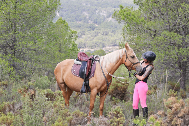 Palomino Quarab Stute in Palominofarbe, Yeguada Trébol, Konie na sprzedaż, Alcoy, Image 11