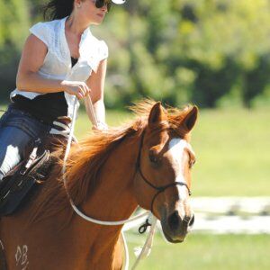 *° Parelli Natural Hackamore * Zügel + Führseil * Reit-Knotenhafter * braun & schwarz * Western °*, Pat Parelli  Parelli Natural Hackamore, annadausac, Bitless Bridles, Aachen, Image 9