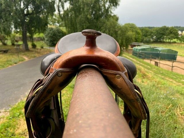 Parelli Natural Performer, Parelli Westernsattel  Natural Performer Standard , Romy Lorenz , Western Saddle, Grävenwiesbach , Image 2